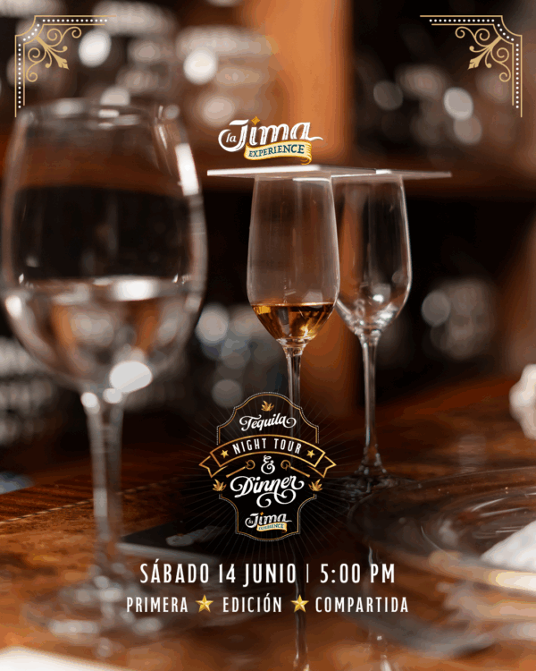 El Mejor Tour Nocturno A Tequila Tour Grupal - Imagen 7