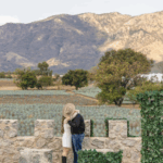 precios-el-castillo-de-tequila