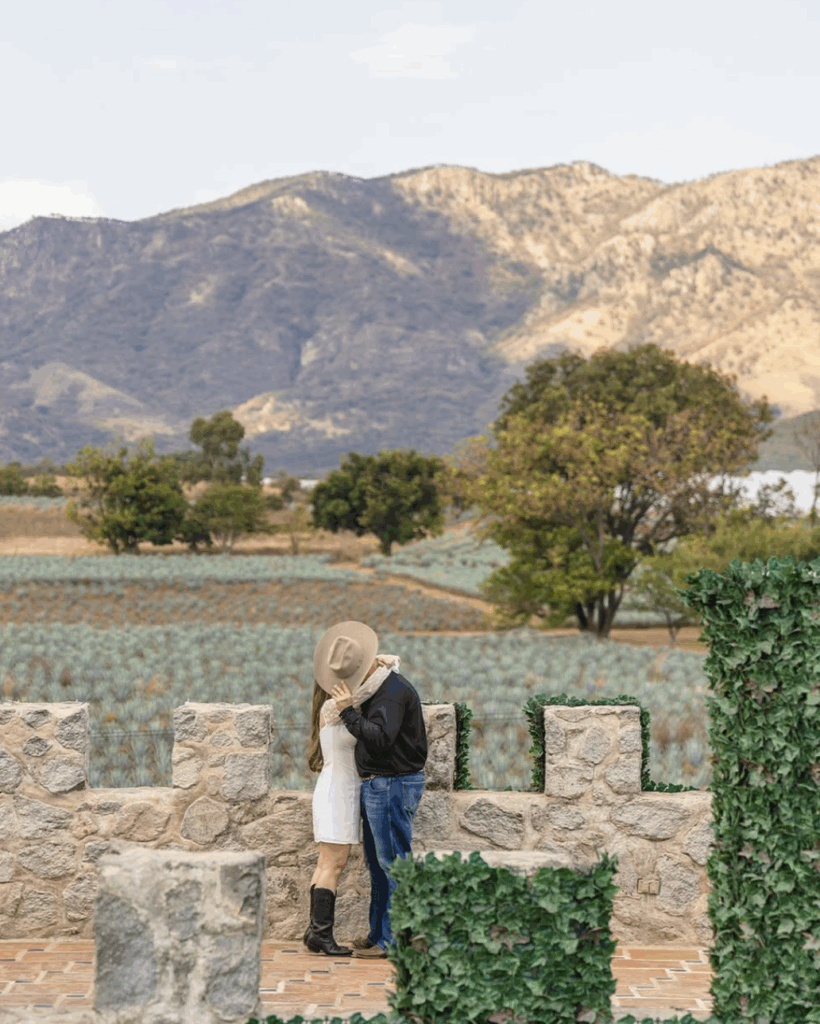 precios-el-castillo-de-tequila