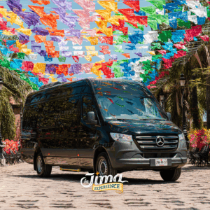 Transporte privado en Sprinter con chofer 1-20 pasajeros
