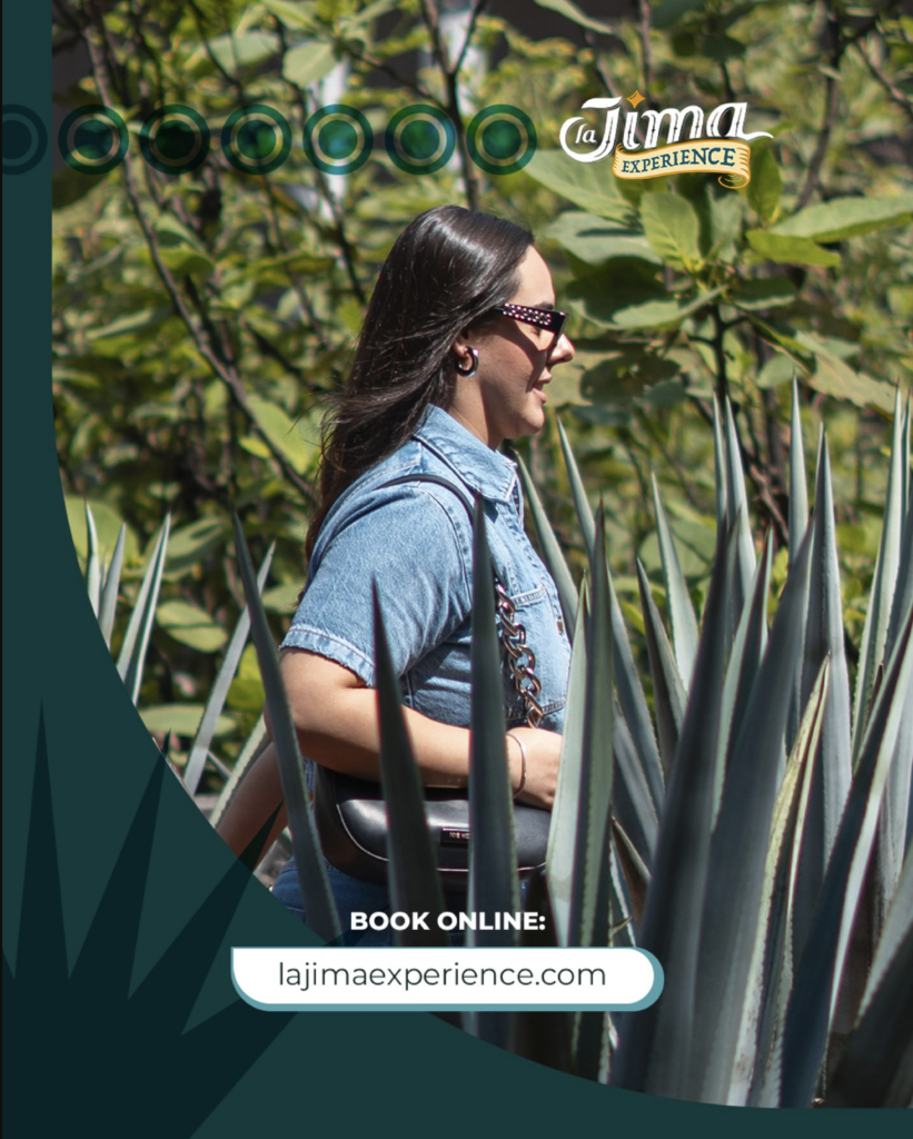 tequila-pueblo-magico-cerca-de-gdl
